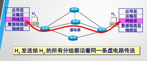 計算機網絡 網絡層的核心作用與開發服務實踐
